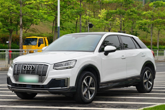 奥迪Q2L e-tron 2019款 Q2L e-tron 纯电智享型