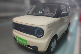 吉利银河 2023款 熊猫mini 200km 耐力熊