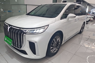 岚图汽车 岚图梦想家 2022款 低碳版 梦+智享包