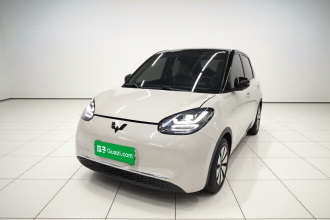 五菱汽车 五菱缤果 2023款 203km 舒享款