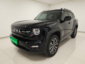 哈弗大狗 PLUS 2026款 2.0T 四驱潮野版