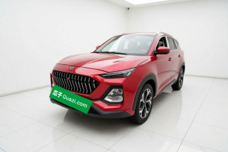 思皓X8 2021款 300T DCT领先智联版 7座