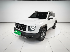 哈弗大狗 2021款 1.5T DCT两驱边牧版
