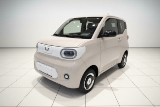 五菱汽车 宏光MINIEV 2024款 第三代 215km 青春版