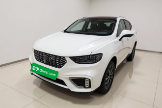 魏牌 VV5 2021款 1.5T 两驱颜先锋