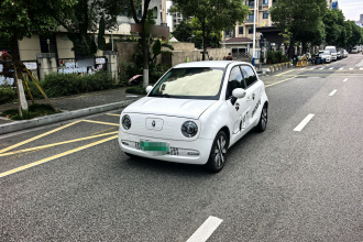 欧拉黑猫 2022款 351km 标准型 三元锂