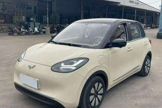 五菱汽车 五菱缤果 2025款 333km 灵犀尊享款