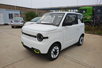 吉利银河 2025款 熊猫mini 210km 元气熊