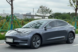 特斯拉 Model 3 2019款 标准续航后驱升级版