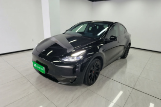 特斯拉 Model Y 2021款 标准续航后驱版