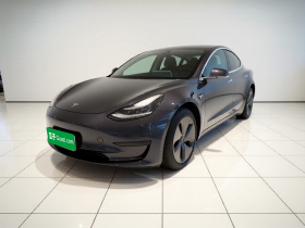 特斯拉 Model 3 2020款 改款 标准续航后驱升级版