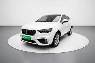 魏牌 VV5 2020款 1.5T 两驱颜先锋