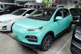 大运 悦虎 2022款 30.66kWh 两驱贵宾版