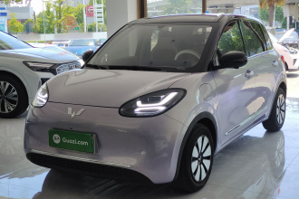五菱汽车 五菱缤果 2025款 333km 灵犀尊享款