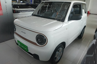 吉利银河 2024款 熊猫mini 200km 耐力熊