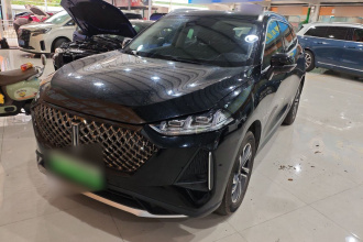 魏牌 玛奇朵DHT-PHEV 2021款 1.5L 特调版