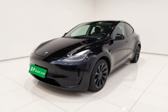特斯拉 Model Y 2021款 长续航全轮驱动版