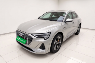 奥迪e-tron 2021款 50 quattro 臻选型