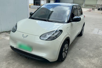 五菱汽车 五菱缤果 2023款 333km 悦享+款