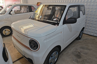 吉利银河 2024款 熊猫mini 200km 耐力熊