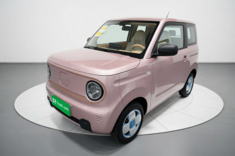 吉利银河 2024款 熊猫mini 200km 耐力熊