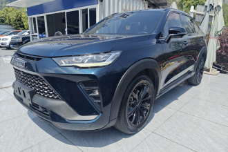 哈弗H6S 2022款 2.0T 两驱智跑版