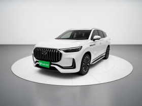 奇瑞 瑞虎9 2023款 2.0T 自动两驱豪华版 5座