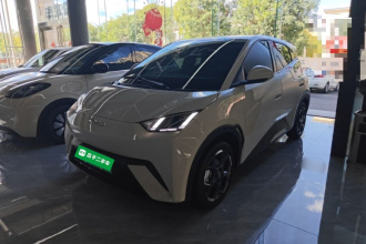 比亚迪 海鸥 2025款 305km 自由版
