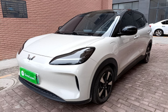 五菱汽车 五菱缤果PLUS 2024款 510km 五座版
