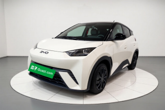 比亚迪 海鸥 2024款 荣耀版 305km 活力版