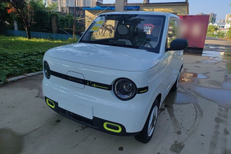 吉利银河 2025款 熊猫mini 210km 元气熊