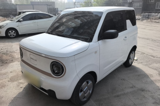 吉利银河 2024款 熊猫mini 200km 耐力熊