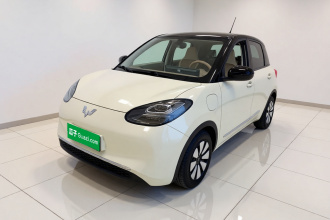 五菱汽车 五菱缤果 2024款 333km 悦享款
