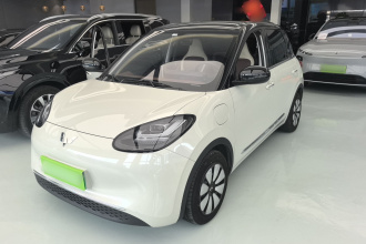 五菱汽车 五菱缤果 2024款 333km 悦享款