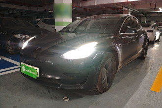 特斯拉 Model 3 2020款 标准续航后驱升级版