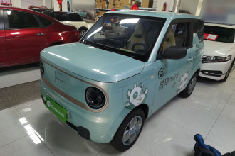 吉利银河 2023款 熊猫mini 200km 耐力熊