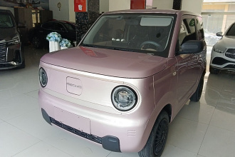 吉利银河 2023款 熊猫mini 200km 耐力熊