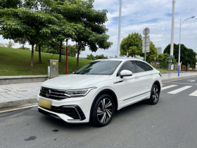 大众 途观X 2021款 330TSI 两驱越享版