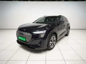 奥迪Q5 e-tron 2023款 40 e-tron 闪耀型 机甲套装