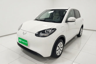 五菱汽车 五菱缤果 2024款 203km 轻享款