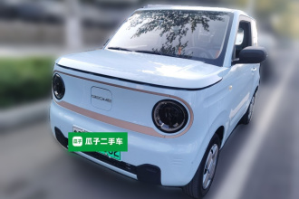 吉利银河 2023款 熊猫mini 200km 耐力熊