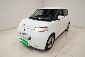 欧拉白猫 2020款 360km 豪华型