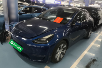 特斯拉 Model Y 2021款 长续航全轮驱动版