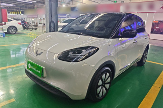 五菱汽车 五菱缤果 2023款 333km 悦享款