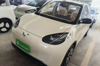 五菱汽车 五菱缤果 2025款 333km 悦享款