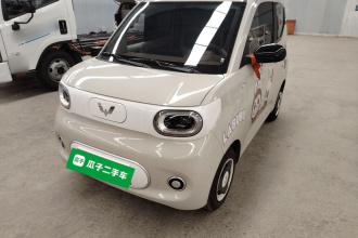 五菱汽车 宏光MINIEV 2024款 第三代 215km 青春版