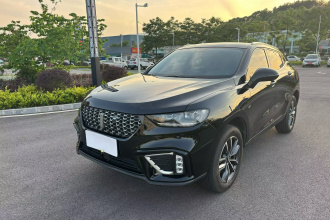 魏牌 VV5 2021款 1.5T 两驱颜先锋