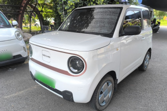 吉利银河 2024款 熊猫mini 200km 耐力熊