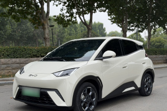 比亚迪 海鸥 2025款 305km 自由版