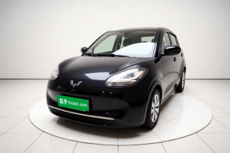 五菱汽车 五菱缤果 2023款 203km 轻享款